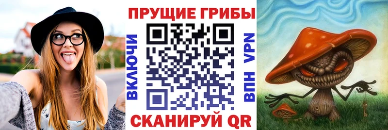 мега сайт  Балаково  Галлюциногенные грибы GOLDEN TEACHER 